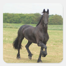 Friesian Horse Stickers