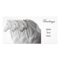 Friesian Horses Photo Card photo cards by twopurringcats Friesian Horses Photo Card photo cards