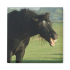 Friesian Joker magnet