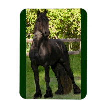Friesian Painting Flex Magnet