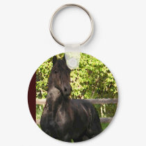 Friesian painting keychains