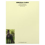 Friesian Painting Custom Letterhead