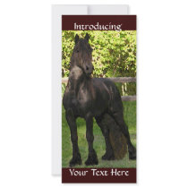 Friesian Painting Rack Card