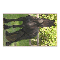 Friesian Painting Sticker