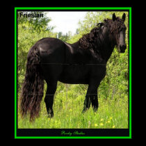 Friesian Photo Print by RookyStudios Friesian Photo Print