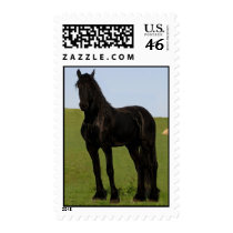 Friesian Postage Stamps #9