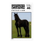 Friesian Postage Stamps #9