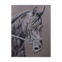 Friesian postcards by wildlifeart Friesian postcards