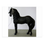 Friesian Postcards