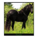 Friesian Poster posters by RookyStudios Friesian Poster posters
