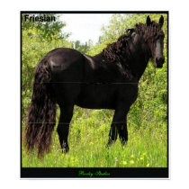 Friesian Poster posters