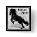 Friesian Power Button