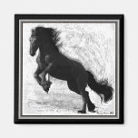 Friesian Power Magnet 1
