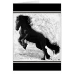 Friesian Power Notecards