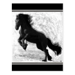 Friesian Power Postcard, customizable