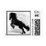Friesian Power Postcard Stamps