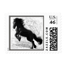 Friesian Power Postcard Stamps
