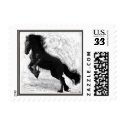 Friesian Power Postcard Stamps