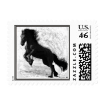 Friesian Power Postcard Stamps
