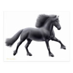 Friesian Running Free Postcard