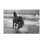 Friesian running on the beach gallery wrap canvas