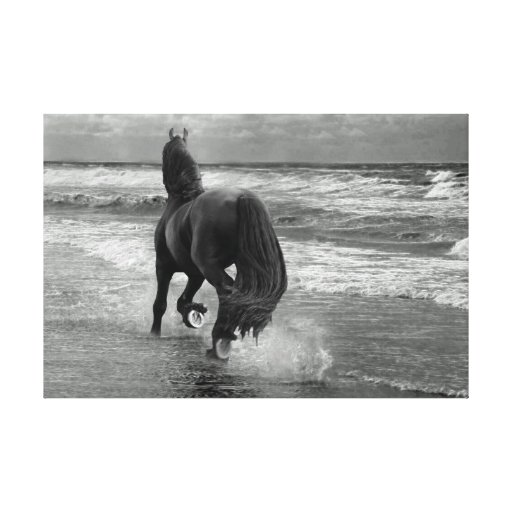 Friesian running on the beach gallery wrap canvas