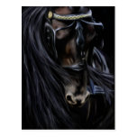 Friesian Spirit - Horse Painting Postcard