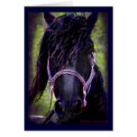 Friesian Stallion Card