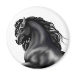 Friesian Stallion horse magnets