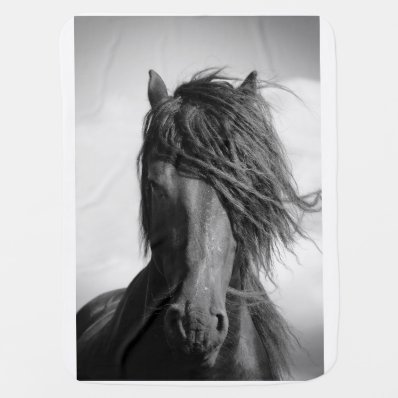 Friesian stallion in the wind. baby blankets