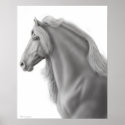 Friesian Stallion Print