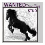 Friesian Stud Poster posters