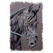 Friesian t-shirts