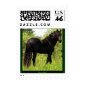 Friesian USPS Stamp