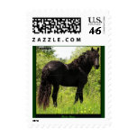 Friesian USPS Stamp