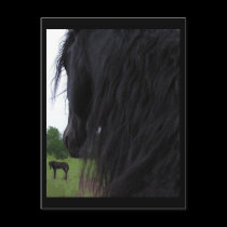 Friesian View Postcards by RookyStudios Friesian View Postcards