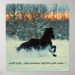 Friesian Winter Frolic Print