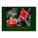 Frilled edge fire Tulips cards