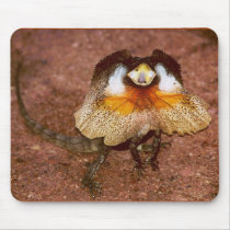 Frilled Lizard - Chlamydosaurus kingii mauspads by LisasLair Frilled Lizard - Chlamydosaurus kingii mauspads
