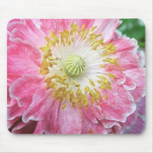 Frilly Pink Poppy Mousepads
