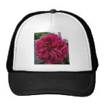 frilly pink rose hats