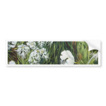Fringed Prairie Orchids Bumper Sticker