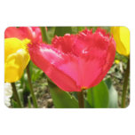 Fringed Tulips Premium Magnet premium magnets