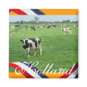 Frisian Cows in Meadow Orange Fridge Magnet Gift by hollandshop Frisian Cows in Meadow Orange Fridge Magnet Gift
