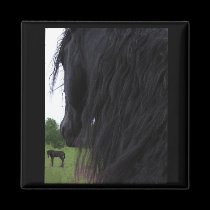 Frisian View Magnet