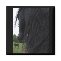 Frisian View Magnet