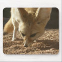 Frisky Fennec Mousepad by scottzazz Frisky Fennec Mousepad