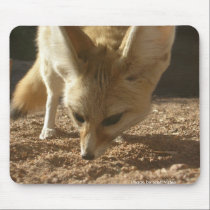Frisky Fennec Mousepad
