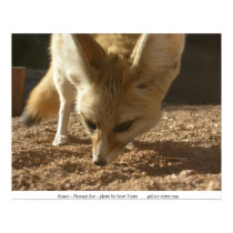 Frisky fennec posters