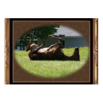 Frisky Foal ~ ATC business cards by Andy2302 Frisky Foal ~ ATC business cards